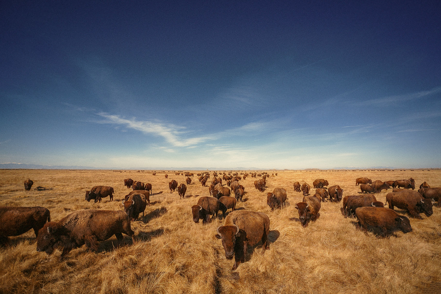 Colorado Ranch