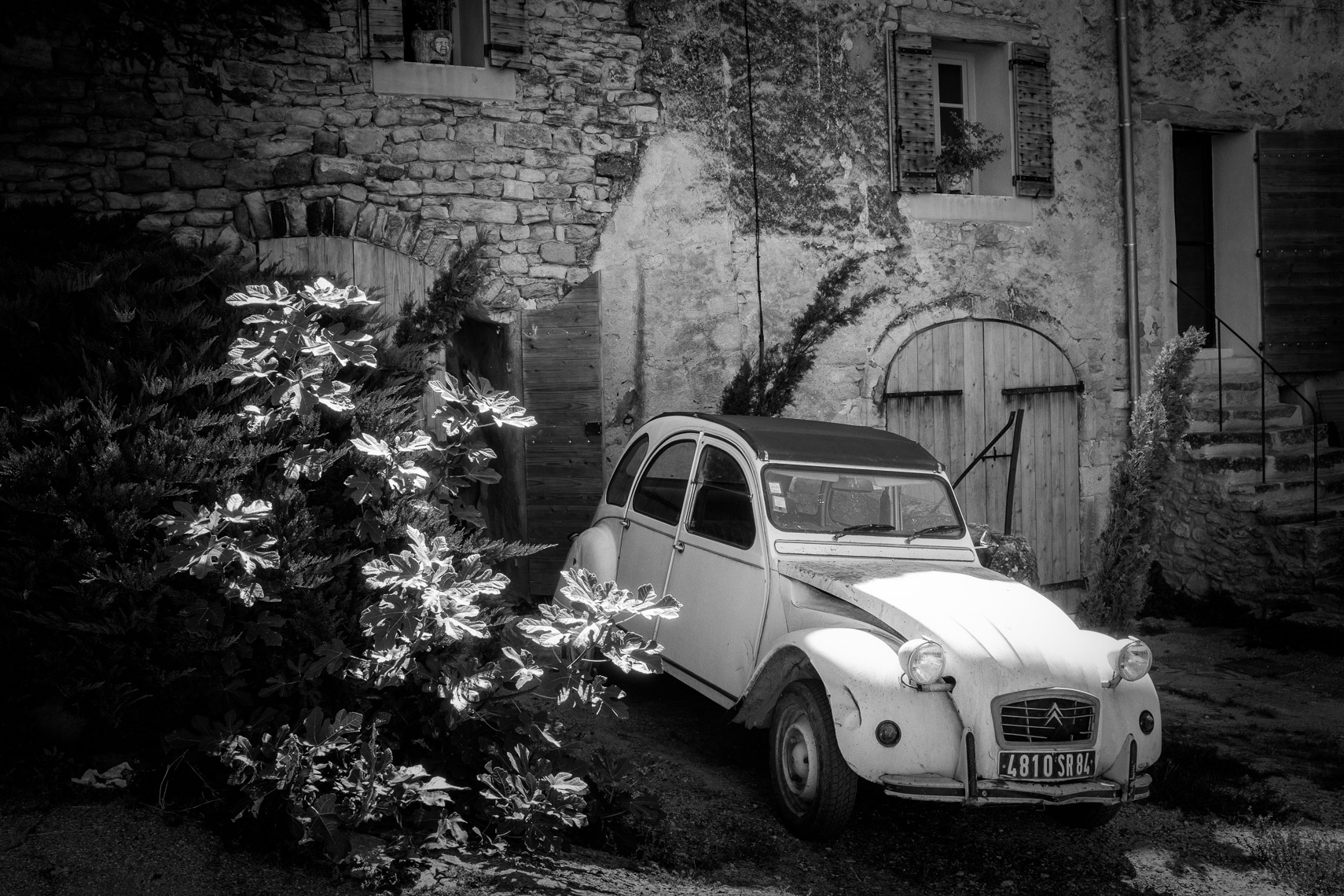 Provence 