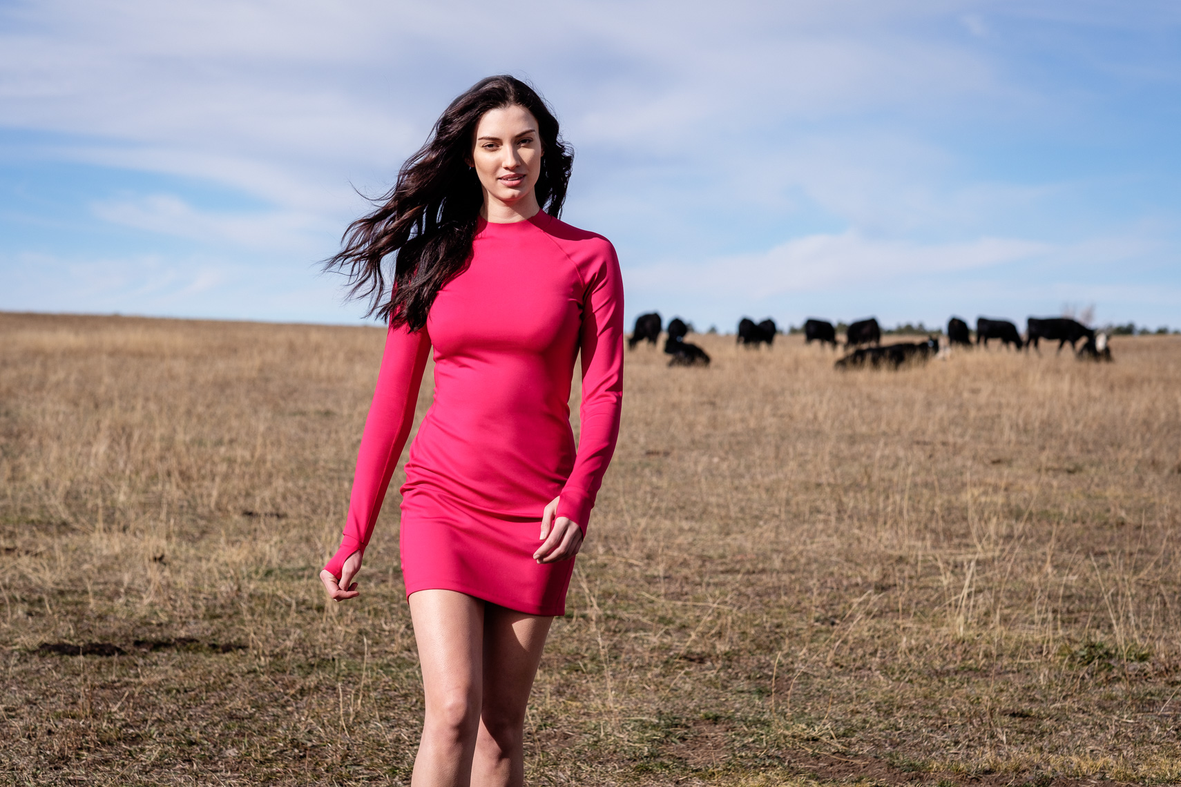 Model in Field